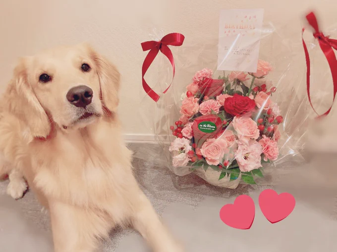 涼香さんからお花をいただきました!!
めちゃくちゃ嬉しいです😂ありがとうございます!🌹✨ 