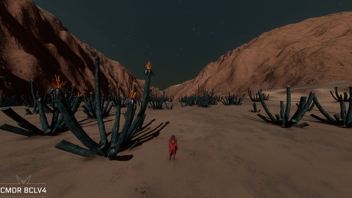 BCLV4_TV's tweet photo. 🚀 Exploration 🔭 : Après 36 jours loin de tout, j'arrive encore à faire de nouvelles découvertes exobiologiques 🌴 👀
#EliteDangerous #EliteDangerousOdyssey #EDpostcards #StellarScreenshots #EliteExplorers #EDExplorers https://t.co/uNkvIbgekv
