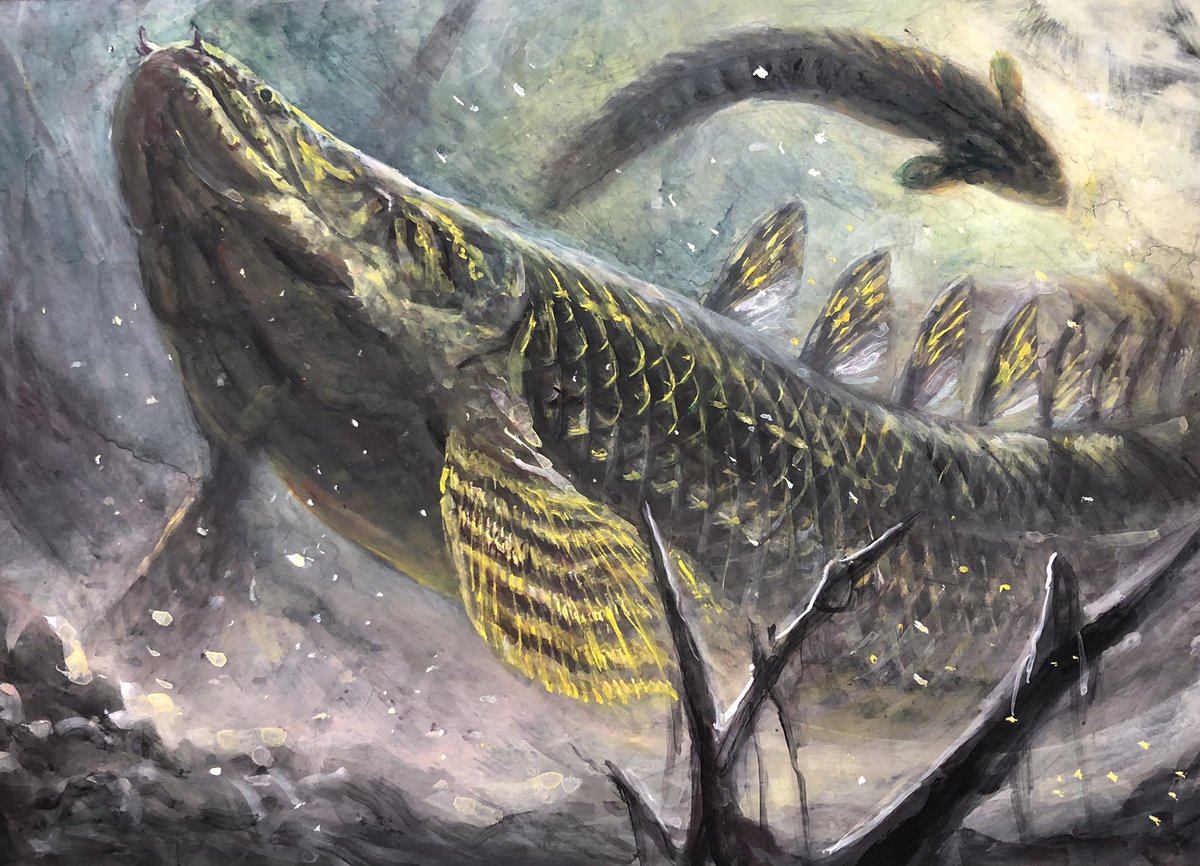 古代魚 のイラスト マンガ作品 18 件 Twoucan
