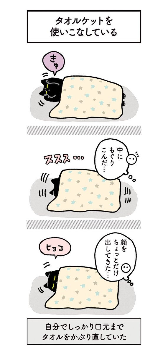 タオルケットを使いこなしているねこの絵日記(2まい+写真)#ろんの絵日記 