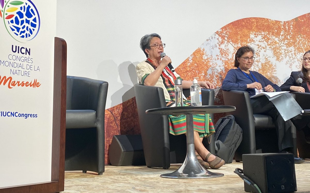 ForestPeoplesP's tweet photo. Victoria Tauli-Corpuz describes the importance of #IndigenousPeoples customary management of environments the world over. Protecting the world’s biodiversity requires their recognition and respect.

#IUCNcongress #ForNature https://t.co/88mDuVGB1h