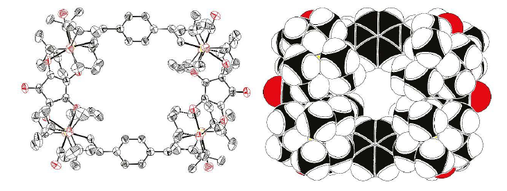 wintergroup1's tweet photo. Our former PhD student and now Marie Curie fellow @mikeinkpen's Lab, Nils @slin1990, published a paper on a Macrocyclic Tetraruthenium Complex. Our newcomer PhD student, @LarsVogelsang , contributed to this work during his Bachelor thesis. Congrats guys!

https://t.co/xKi9606Gzw https://t.co/3zUMPnPhGX