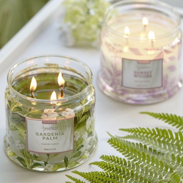 🌞Kafanızı karıştıran, cevabını bulamadığınız ya da emin olamadığınız bir konuya niyetlenerek bir mum görseli seçebilirsiniz. Bu meseleye dair kilit noktaları, önemli zaman dilimlerini ve mesajlarınızı ileteceğim. 

🌞Rt+takip🤍