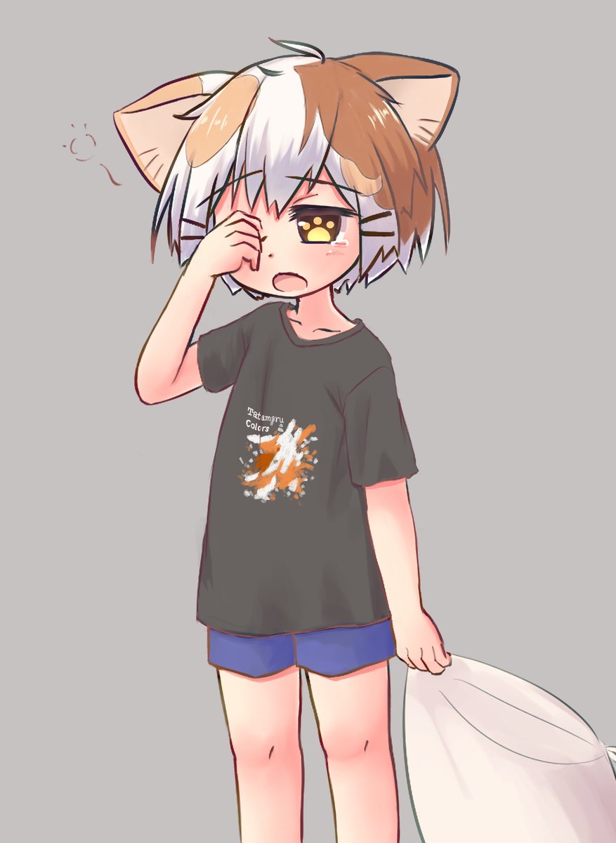 たたまる Twitter Search