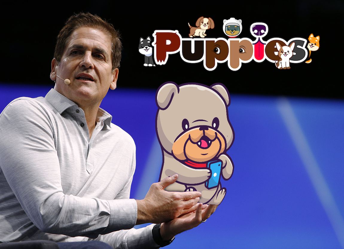 Puppies Network tweet media