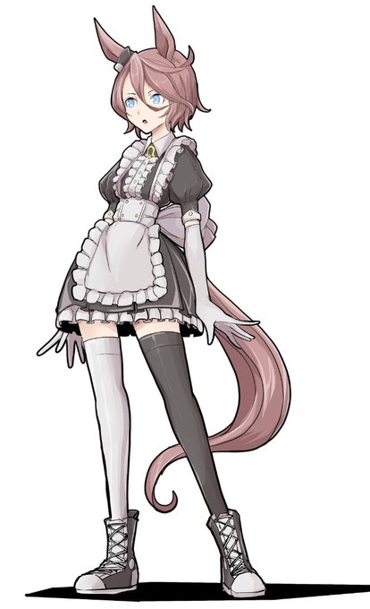メイドタイシン 