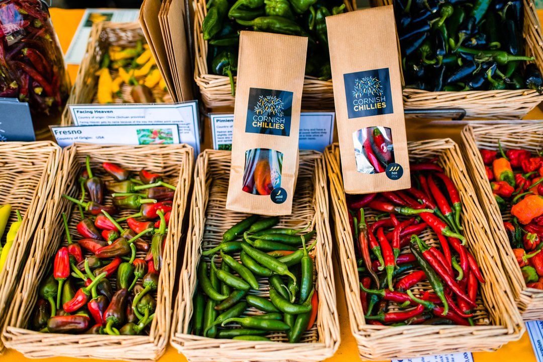 Cornish chillies a plenty! These local growers have a superb range of chillies in (almost) every colour of the rainbow. Chilli fans, you won't be dissapointed! 🌶🌶🧡😍🫑💙💜
- 
#chillipepper #freshchillies #chillisauce #organicallygrown #localgrowers #localproduce