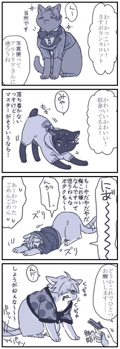 ネコチャン漫画お題箱より&gt;…ニャンズたちにお洋服を着せてみてほしいです!ぐだくん(むつさん)が似… #odaibako_hook2_62  お題ありがとうございました!にゃんすろさんとにゃんどりくんはすっと着てくれるんじゃないかなと思いますがそのろびにゃんさんが… 