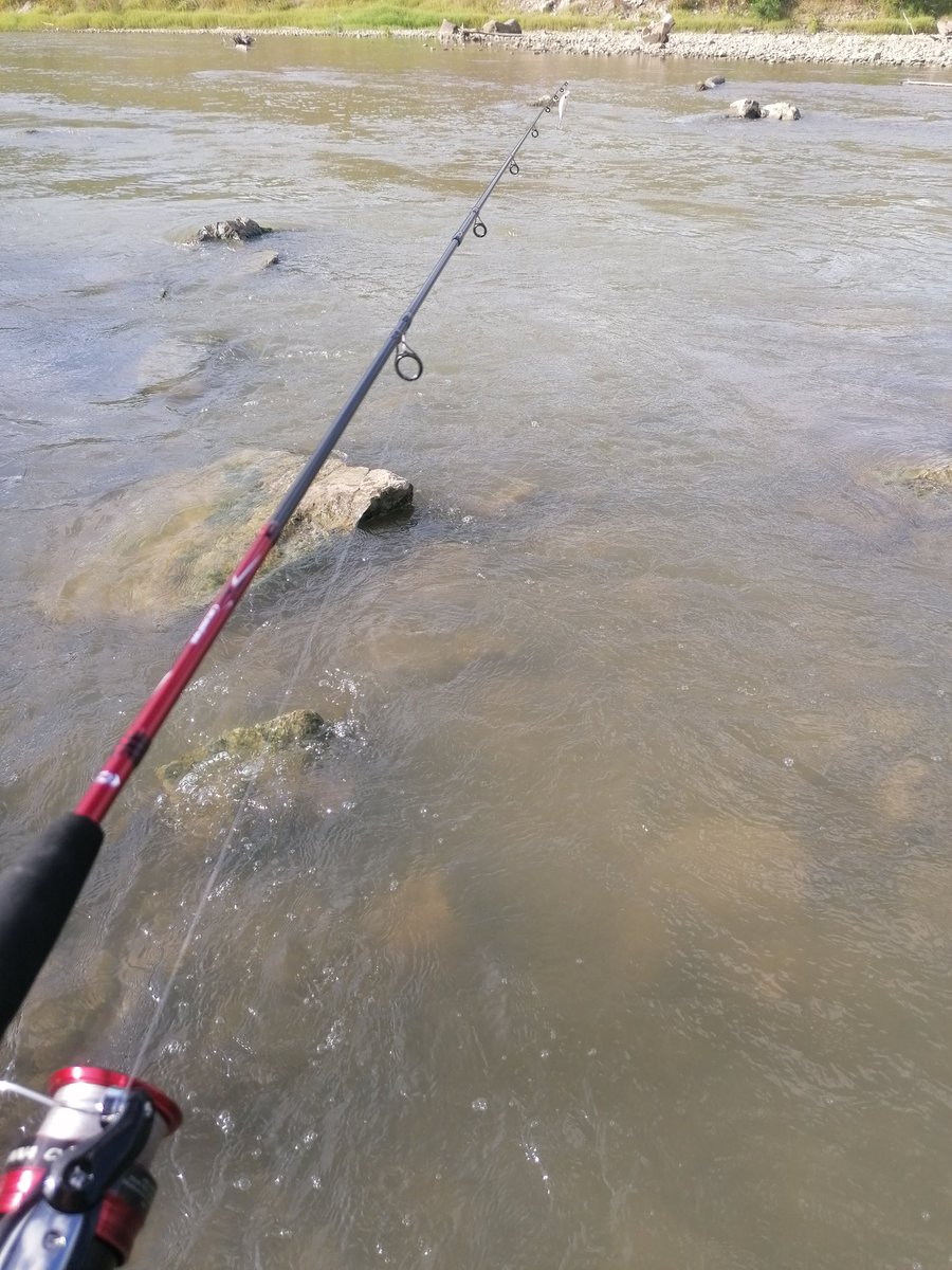 Serinlemek bahane balık şahane