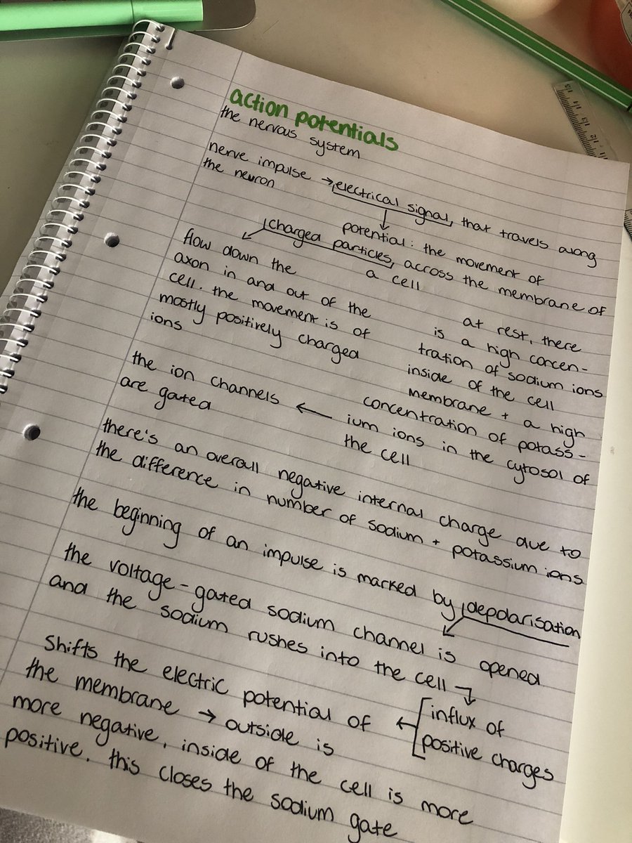 robynsdesk's tweet image. messy notes that show a clear flow between points 😫😫😫  &amp;gt;&amp;gt;&amp;gt;&amp;gt;&amp;gt;&amp;gt;