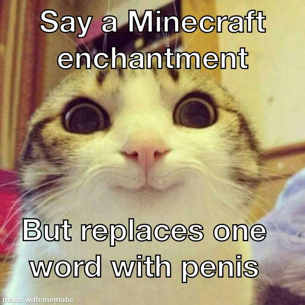 Minecraft Memes ⛏️ tweet media