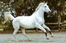 Zafer umut ve inananların olacaktır.