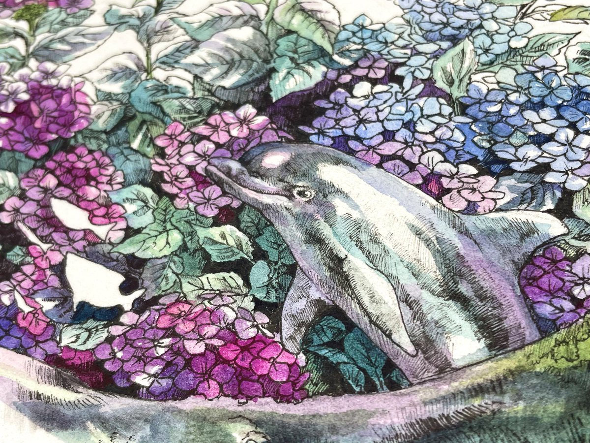 「アジサイを泳ぐイルカ 」|Keso Artのイラスト