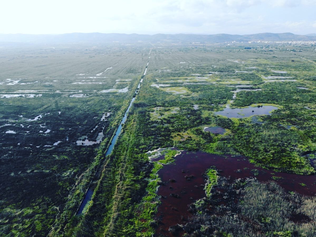 rubueno10's tweet photo. 🌧 Las intensas #precipitaciones de estos días nos dejan una espectacular estampa de los #humedales de #Castellón, pero también un escenario de trabajo muy complejo en materia de #ControlDeMosquitos en los próximos días 🦟
📸 Inspecciones de evaluación a vista de #drone 🚁 https://t.co/AoARaxizTG