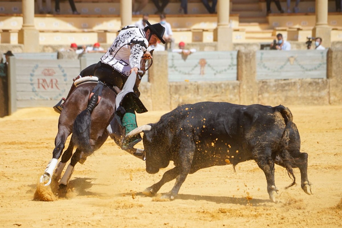AndresRomeroWeb's tweet photo. 🔴 RONDA || Tras el recibo a portagayola con #Golondrina, le instrumentó verdaderos muletazos con el marsellés al ralentí. Ya en banderillas, lo enceló y templó extraordinario con #Caimán 

📸 Doble N Comunicación

#siemoreRomero https://t.co/Mb96cp20vR