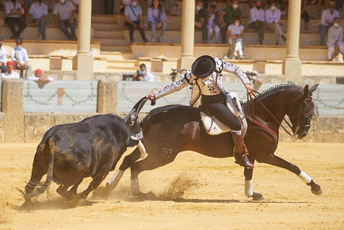 AndresRomeroWeb's tweet photo. 🔴 RONDA || Tras el recibo a portagayola con #Golondrina, le instrumentó verdaderos muletazos con el marsellés al ralentí. Ya en banderillas, lo enceló y templó extraordinario con #Caimán 

📸 Doble N Comunicación

#siemoreRomero https://t.co/Mb96cp20vR