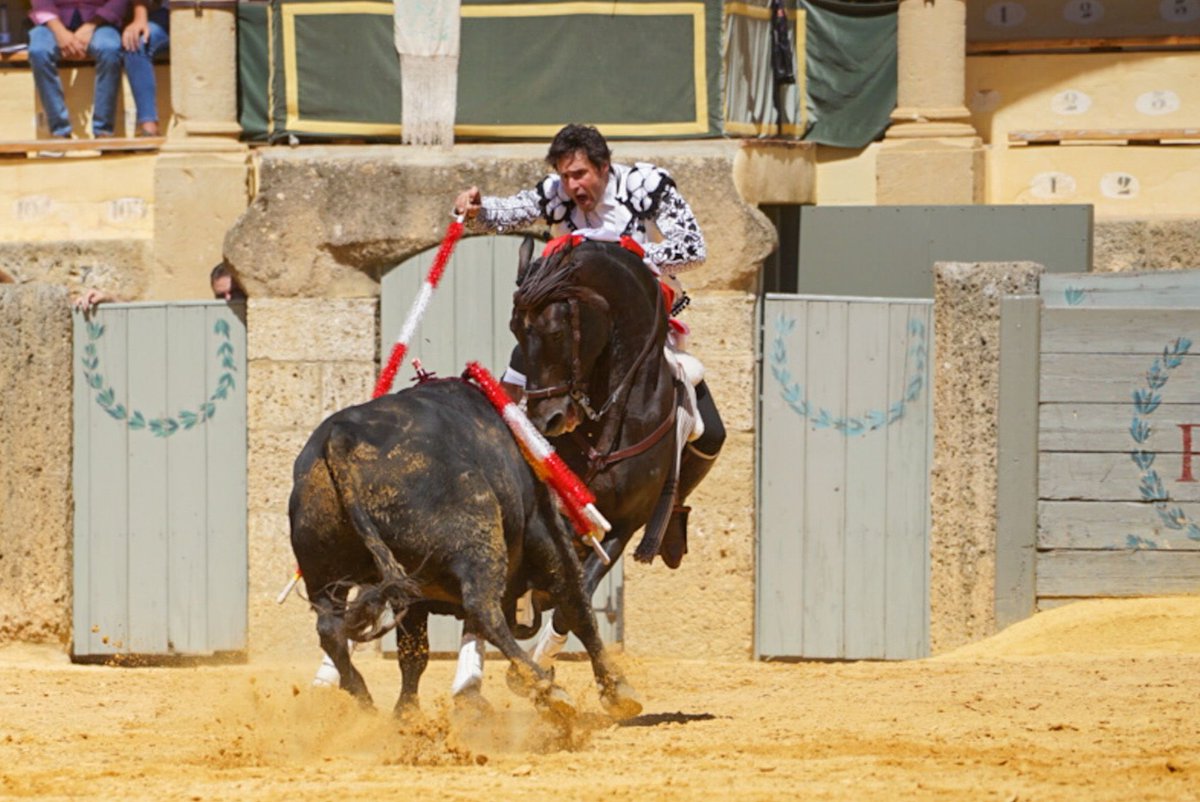 AndresRomeroWeb's tweet photo. 🔴 RONDA || Pero fue con el eterno #Guajiro con el que alcanzó la cima y los pasajes cumbres de su faena, clavando al quiebro muy en la cara y rematando con ajustadísimas piruetas!! 💯

📸 Doble N Comunicación

#siempreRomero https://t.co/jC3k8MWERl