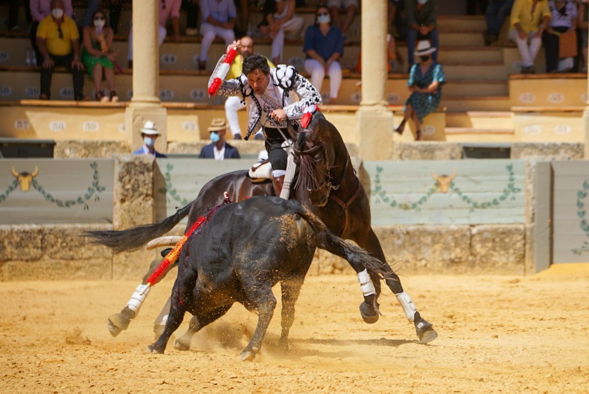 AndresRomeroWeb's tweet photo. 🔴 RONDA || Pero fue con el eterno #Guajiro con el que alcanzó la cima y los pasajes cumbres de su faena, clavando al quiebro muy en la cara y rematando con ajustadísimas piruetas!! 💯

📸 Doble N Comunicación

#siempreRomero https://t.co/jC3k8MWERl
