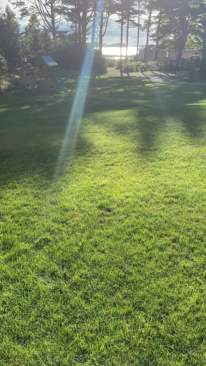 HalifaxSeedTurf's tweet photo. September long weekend, cool air, and the time of year #lawnpros live for. The @TurfFuel #granular 8-8-8 and @Aquatrols #AqueductFlex shining after the passing of #Ida moisture. #HSturf https://t.co/qUIlt2fosG