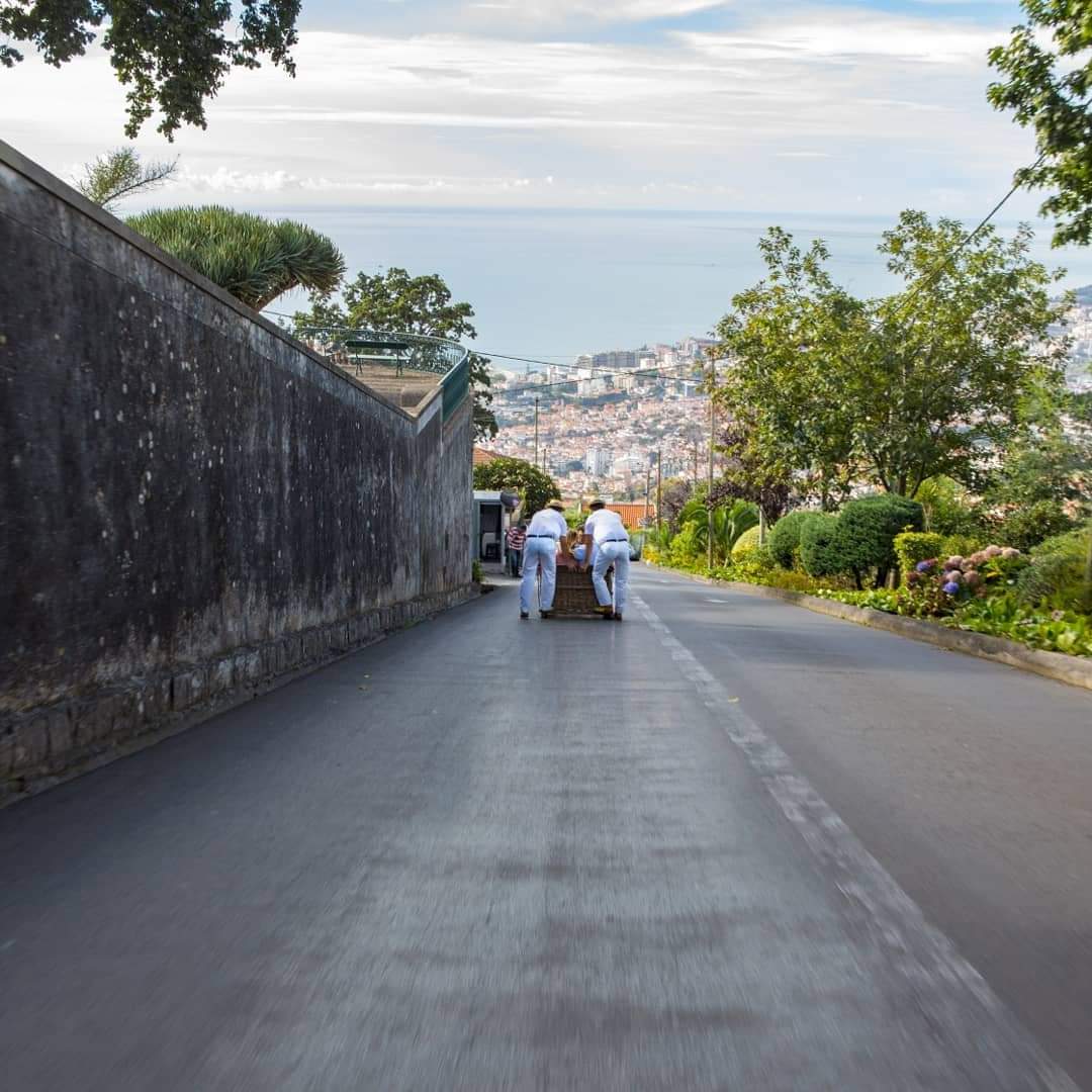 madeira_islands's tweet photo. @Madeira We have many reasons 😍 https://t.co/ivqNVFKJps