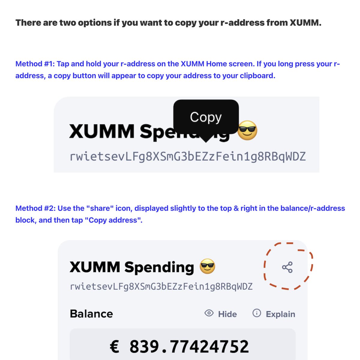 XUMM Support on Twitter "New FAQ article How to copy your XRP Ledger