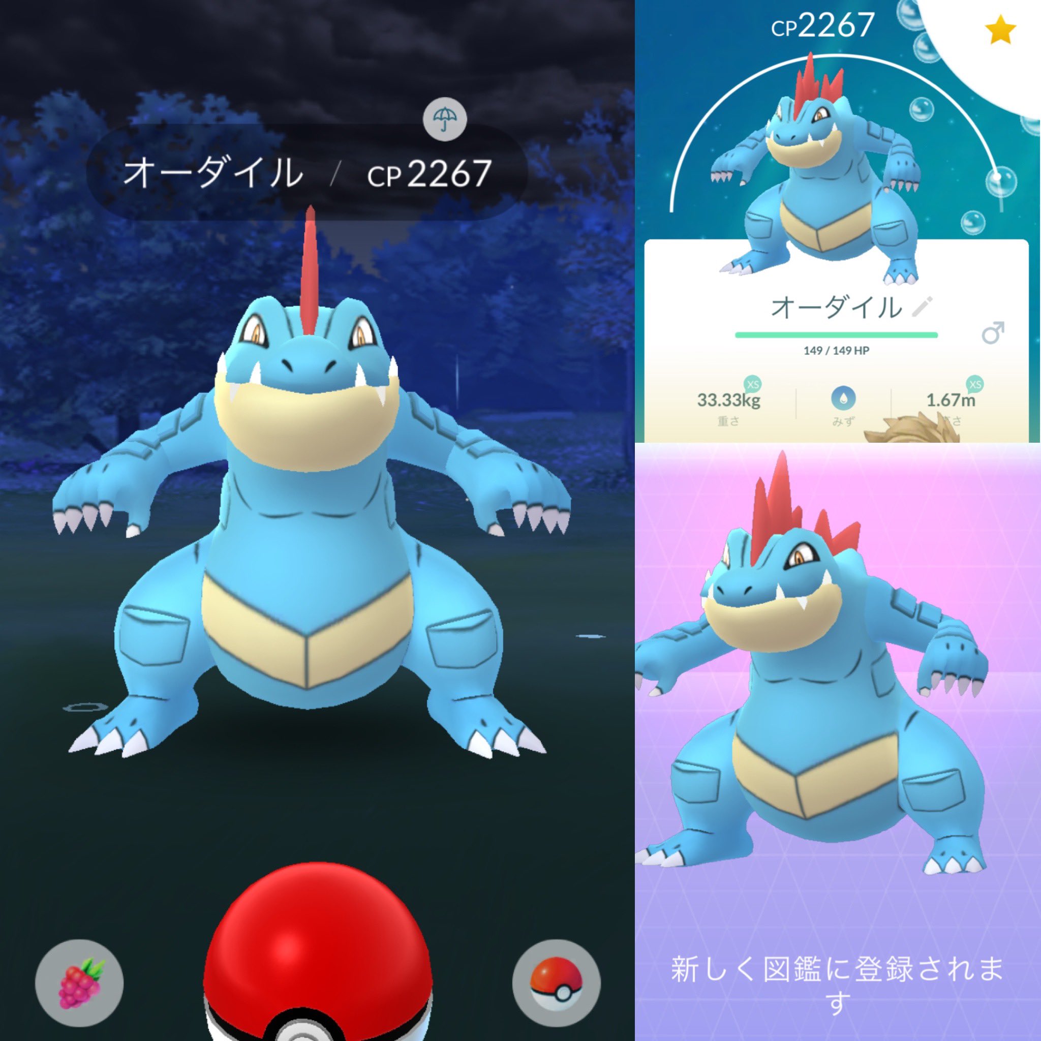 さいころ ポケモンgo ポケモンgoで野生のオーダイルをゲット 新しく図鑑に登録されました T Co Xvtt7hr7gy Twitter