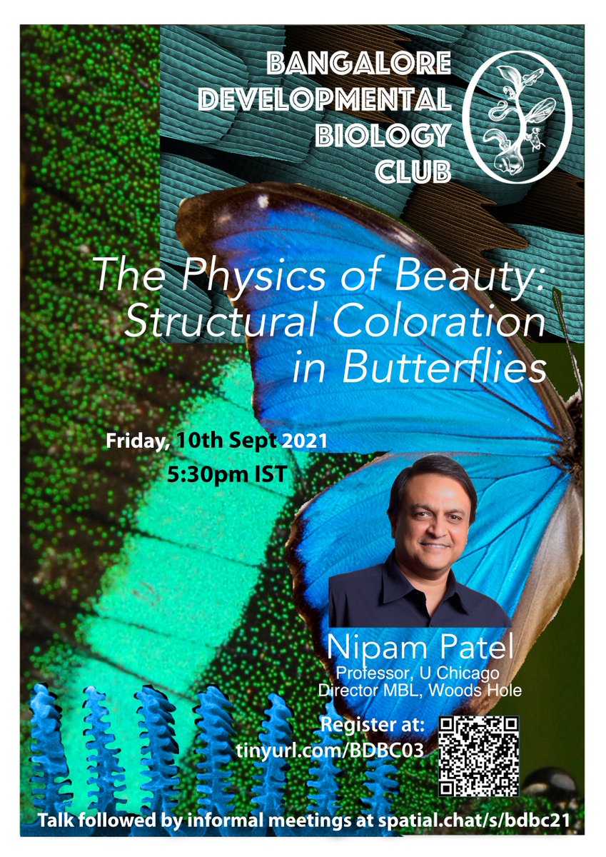 What did a Lexus copy from a Blue Morpho butterfly? What makes butterflies shimmer (pssst... it's not pigment)? Genetics plays with physics to affect selection? Join us for a fascinating talk and chat later with Nipam Patel coming Friday, 10th Sept at 5:30pm IST.
