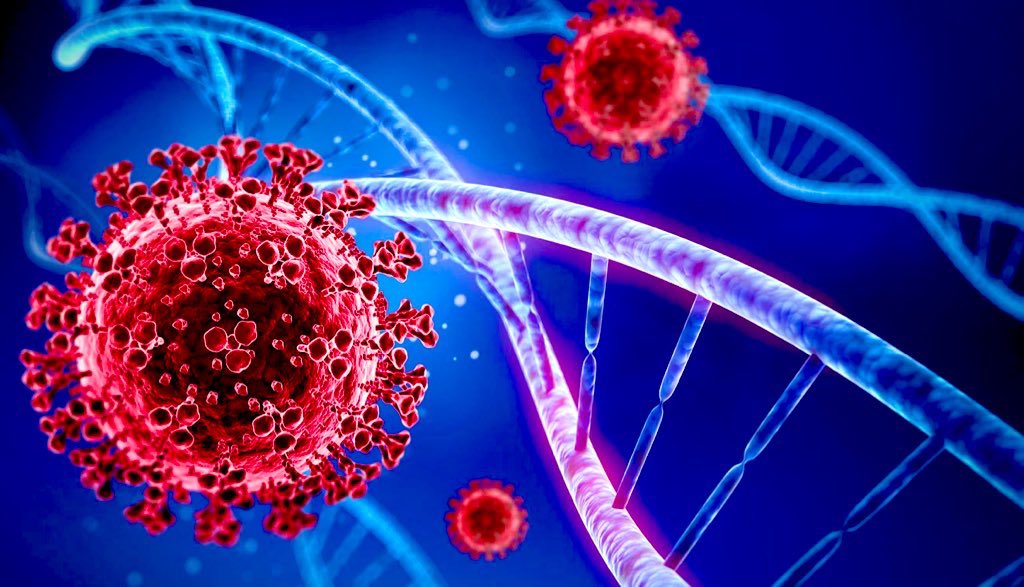 medvation's tweet photo. The mutations and evolution of SARS-CoV2 was the central topic of discussion in this #sciencesummercamp2021. The students analyzed the genetic sequence of the virus and discovered its differences from the influenza virus.#SARSCoV2 #Python3 #Medvation #KAUST https://t.co/XxcgEzAgnI