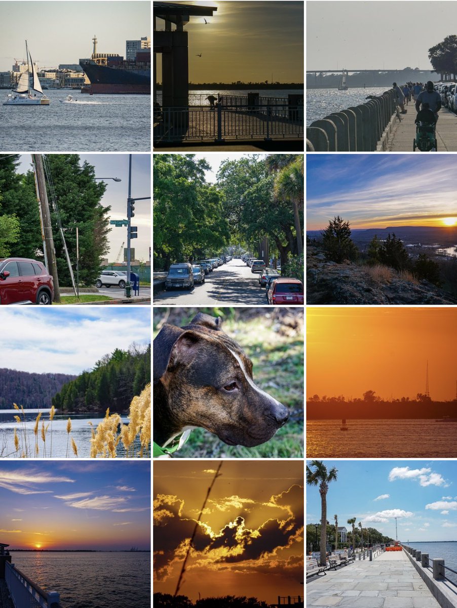 RRCGraphics's tweet image. Just a few of my works that are available on @opensea! Still looking to make my first sale; I understand that this may not be for months. I’m getting close to graduation and will continue to create wherever I go🤗