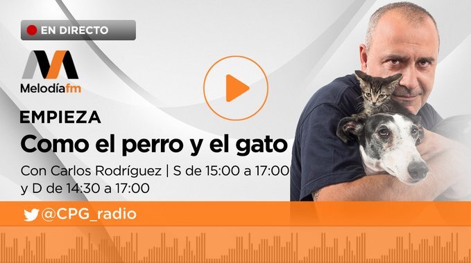 🔴 #ENDIRECTO Comienza <a href="/CPG_radio/">Como el Perro y el Gato (Onda Cero y Melodía FM)</a> con <a href="/carlosmascotero/">Carlos Rodríguez</a> e @ivancortesradio
 ondace.ro/bbjhw1