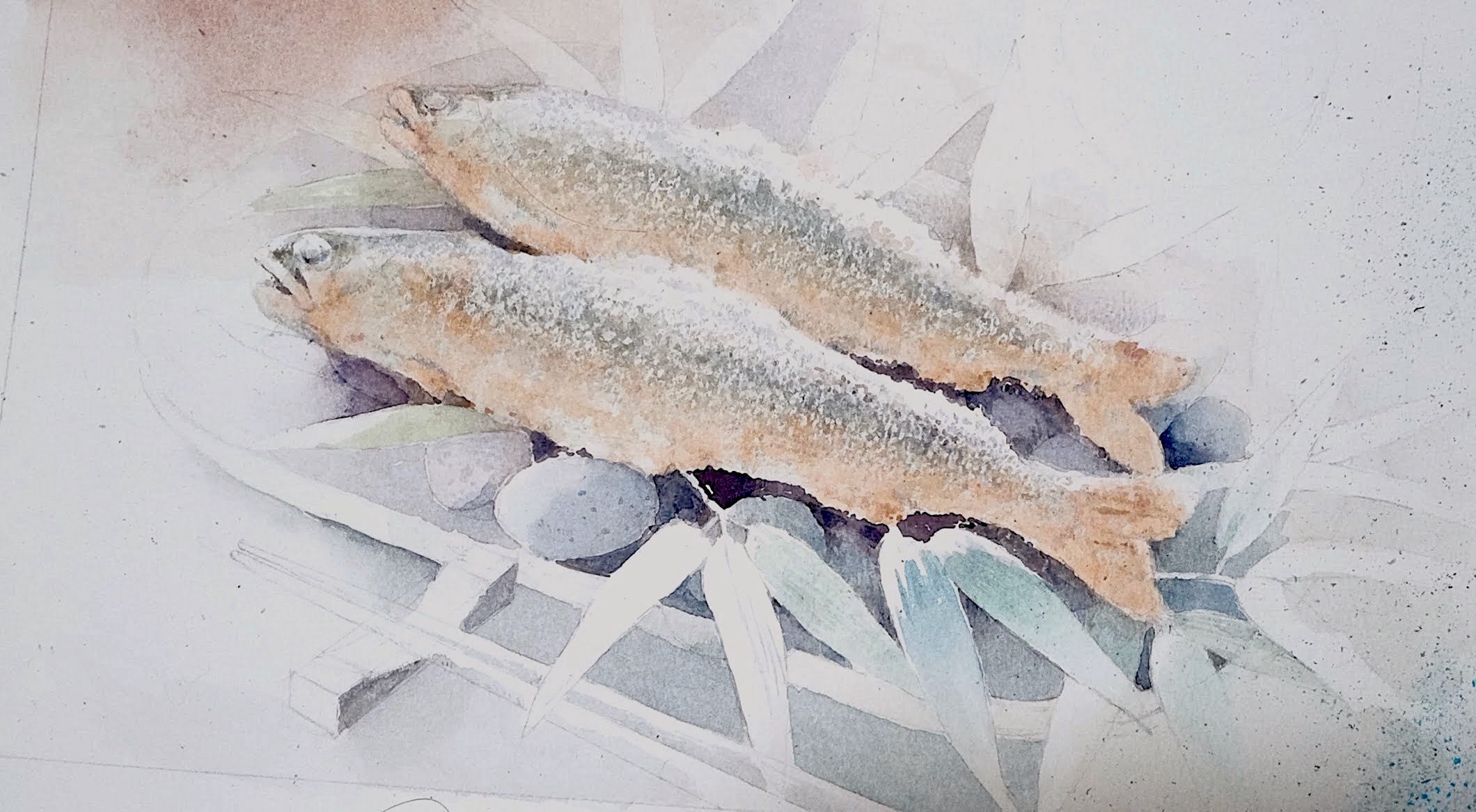 福井良佑 透明水彩 Watercolor 個展の絵 今月から個展に出品する水彩画を描き始めています テーマは 旅 実際の旅と人生の旅を掛け合わせて行く予定 会期や 会場は未定 希望としては来年の夏ごろ東京で 写真の絵は京都 貴船の河床の鮎の塩焼きを