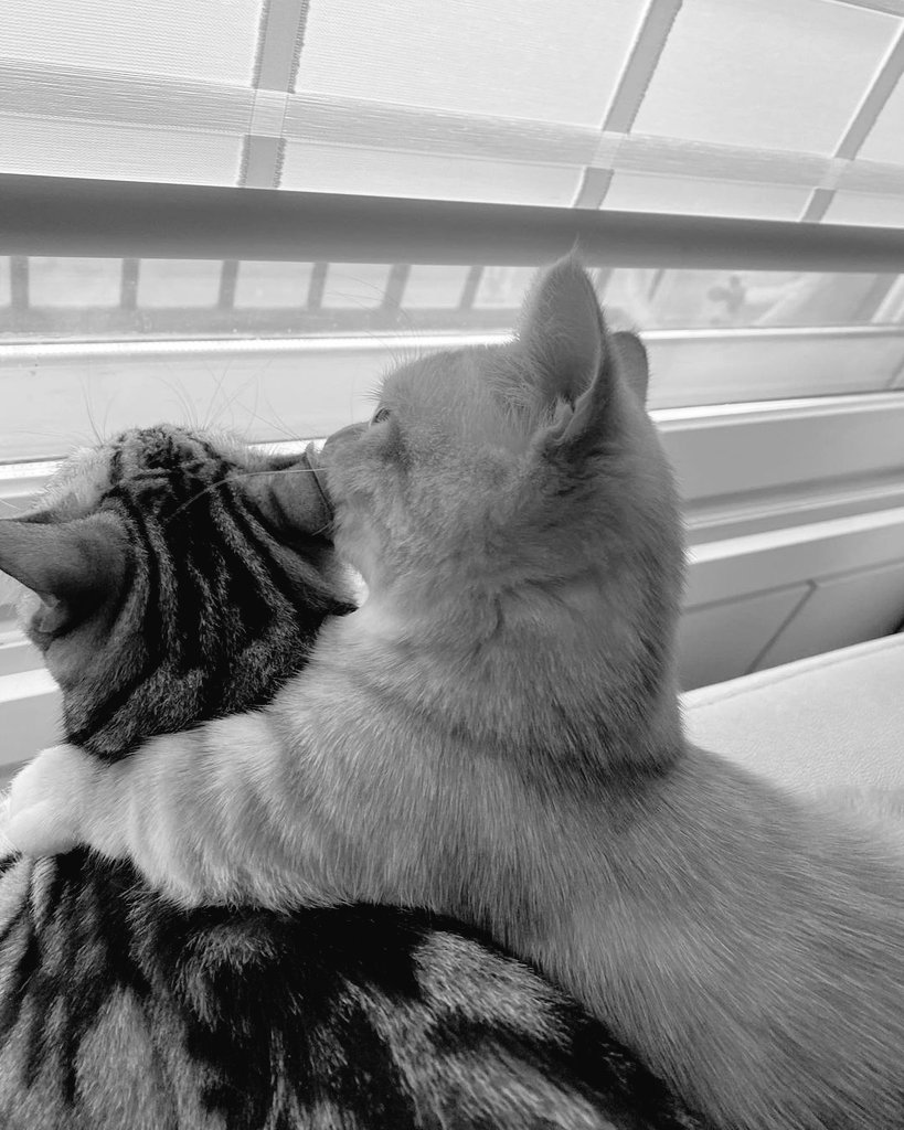 10/10 siyah beyaz (@ononsiyahbeyaz) on Twitter photo 