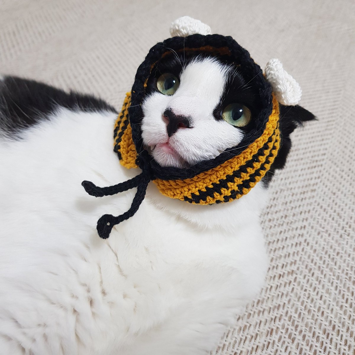 samchimom's tweet image. 안들어가서 걸쳐만 둠