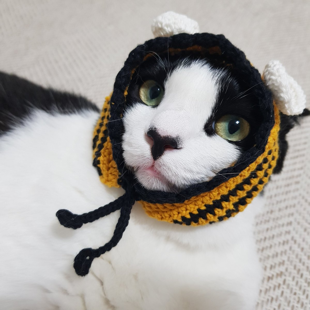 samchimom's tweet image. 안들어가서 걸쳐만 둠