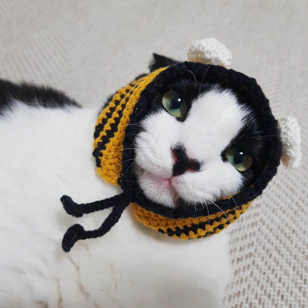 samchimom's tweet image. 안들어가서 걸쳐만 둠