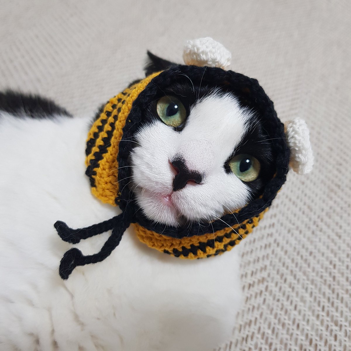 samchimom's tweet image. 안들어가서 걸쳐만 둠