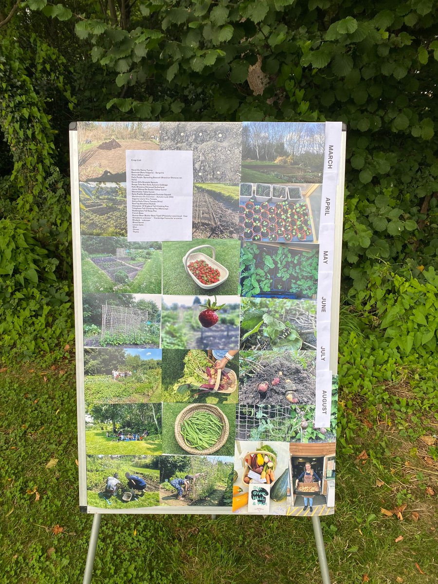 Setting up for a #1918allotment visit with @Fig_Oxford @yewandeslondon supported by @TORCHOxford #humanitiesculturalprogramme so happy that those coming will literally get to eat my PhD research :)