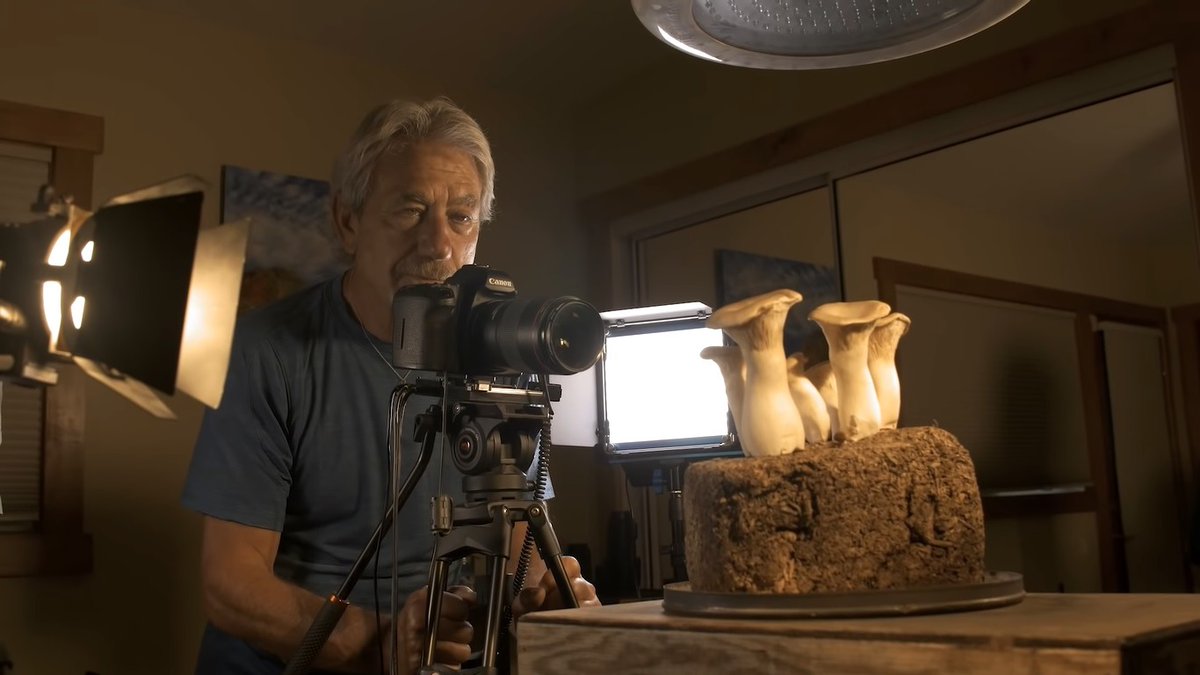 SolidSmack's tweet image. Weird but definitely relaxing to watch.
 #fungi #intervalometer #LouieSchwartzberg #timelapse

solidsmack.com/fabrication/fi…