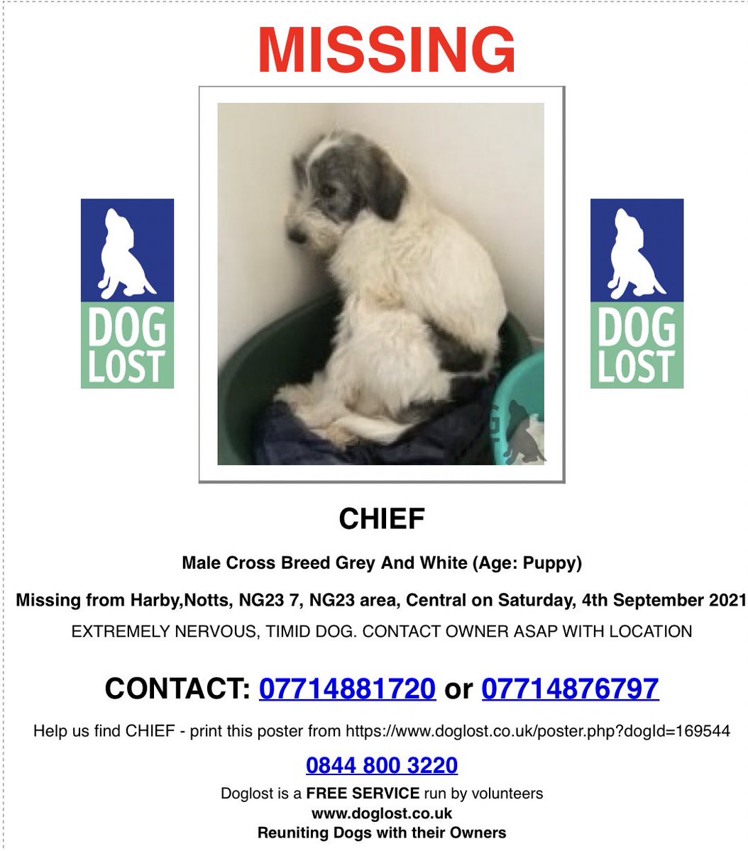 MissingPetsGB tweet picture