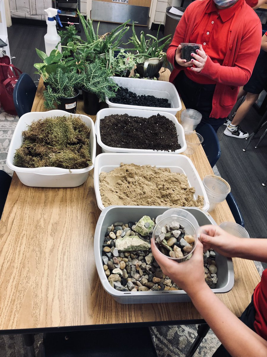 HappySchwiet's tweet photo. Hands on science -terrariums! https://t.co/TyMAM1sqUl