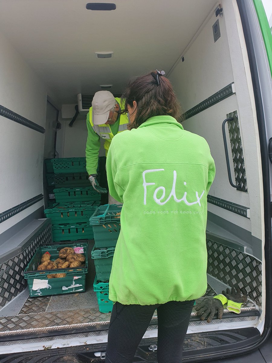 CharmaineGlean's tweet photo. Lovely morning out gleaning with amazing #community volunteers and the @felixprojectuk team. We rescued 500kg potatoes and 320kg cabbages. The produce will be distributed to make meals for those who are disadvantaged/in need..
#kentgleaners #foodwasteheroes #communityspirit https://t.co/AfNe2lyR6W