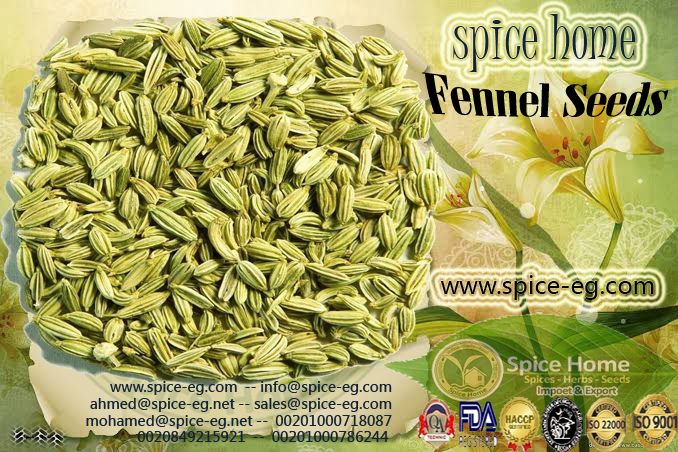 SpiceHomeManuf1's tweet photo. We are manufacturing and supplying the best collection of fennel seeds in Egypt.
Botanical Name: ( Foeniculum Vulgare )
Shelf Life. 2 Year
Packing: In polypropylene bag 25 KGS Net Weight
Season: Available all the Year
Country of Origin. Egypt
Delivery Time 15-20 days. https://t.co/XAievmTcLD