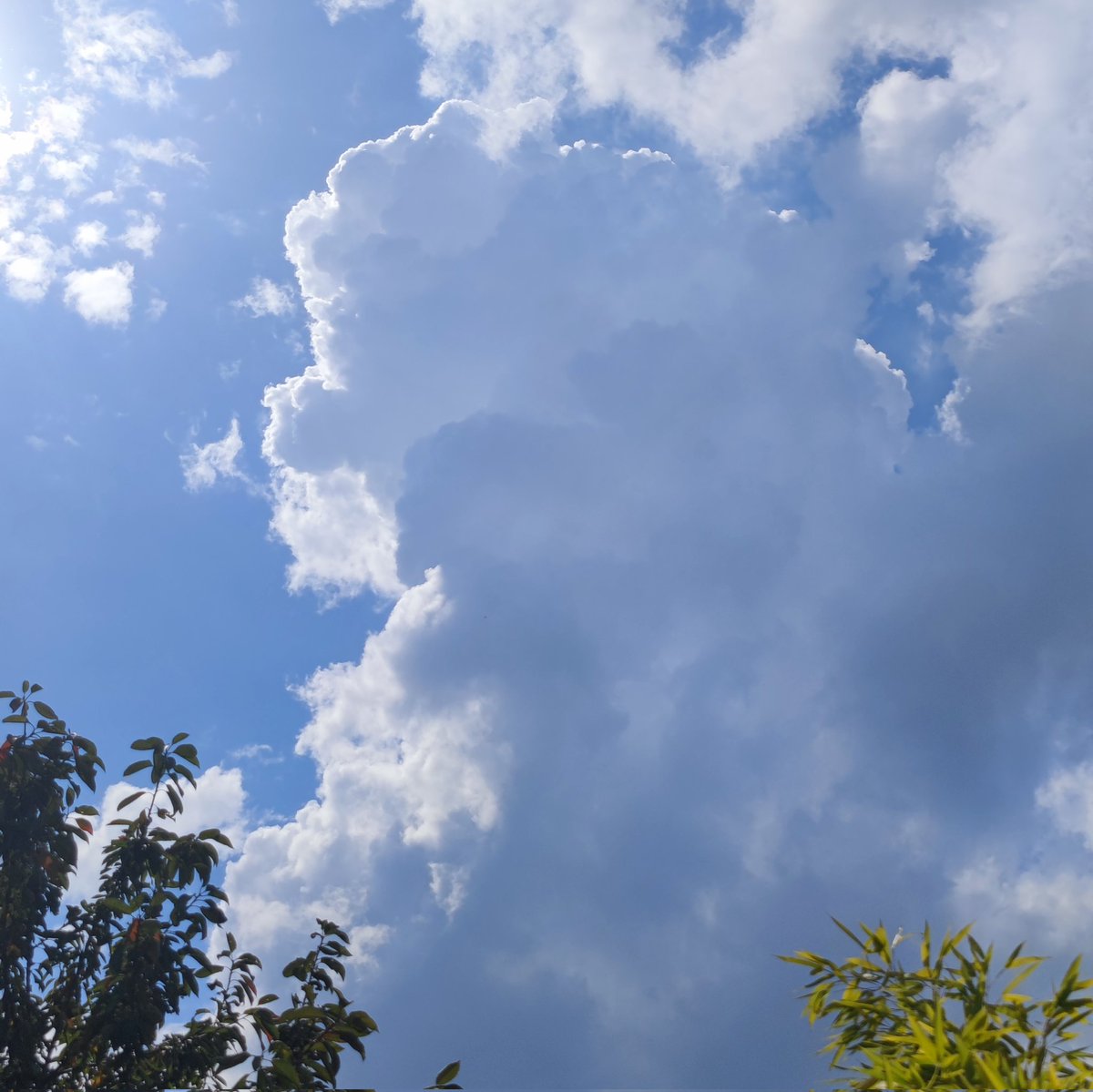 ⛈️ Aujourd'hui, des cellules d'intensités faibles à modérées pourraient se développer dans l'après midi et en début de soirée. Localement les cellules pourraient être pluvieuses avec un risque de petite grêle. ⚡ #mayenne #orages #mayenneorages