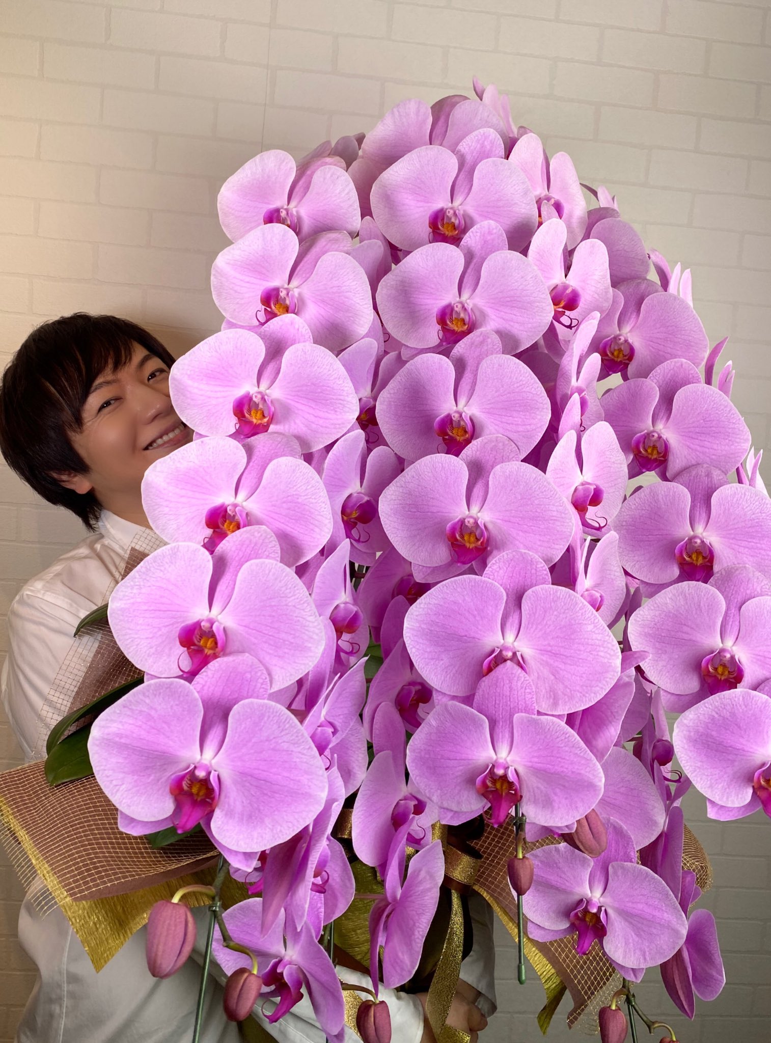 竹島宏スタッフ 公式 在 Twitter 胡蝶蘭 花言葉は 幸福が飛んでくる 文字を見るだけでワクワク してきませんか 皆さんへハッピー飛ばします 受け取ってください 今日も１日お疲れ様でした ひろネット 花便り 花言葉 花 花を贈ろう 感謝 絆 花