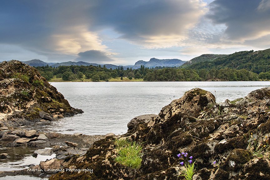 I don’t find it easy getting nice shots of Windermere - my latest effort with the Langdales in the background #LakeDistrict #Cumbria #martinlawrencephotography #windermere #thelangdales #cumbrialife #cumbrialifemagazine #hikes #fells #clouds #earlymorning #photography #landscape