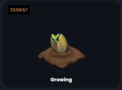 Antonio Di Caprio tweet media