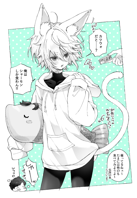 ふぁ～さん🐈 