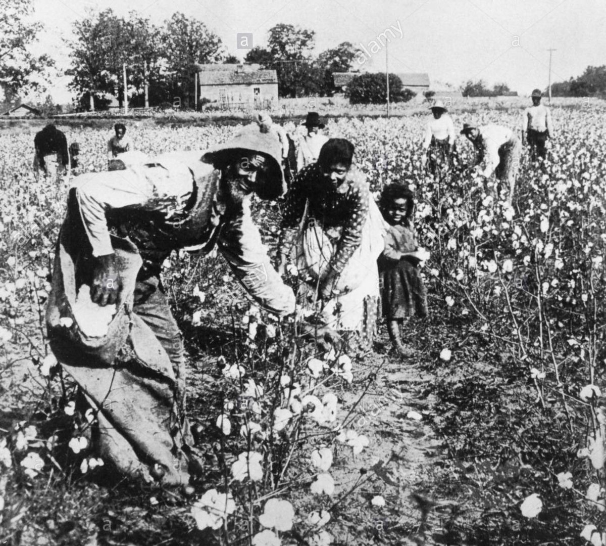 Ace teimpo ice un tiut donde dige que si los españoles no ubieramos conolizado cataluña haun estarian recojiando aldogon enlos arvoles. Despeus de tanto foyon quese nomto queiro rectificar y decir q es hunamo equibocarse.
No recojian aldogon recojian cacauetes.