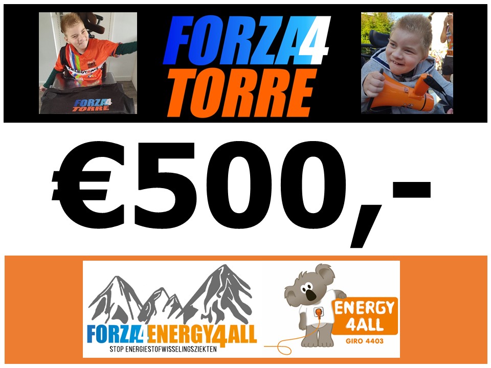 Vandaag de laatste dag van <a href="/Forza4Energy/">Forza4Energy4All</a>. Forza4Torre is er niet bij, maar levert wel een kleine bijdrage aan het fantastische eindbedrag.
<a href="/energy4all_nl/">Stichting Energy4All</a>