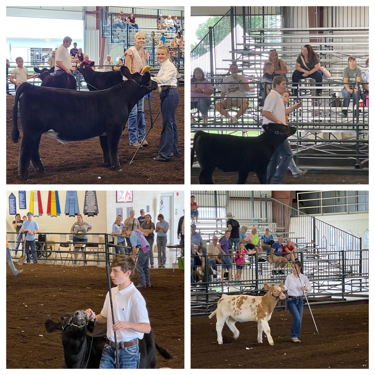 FFA members are on a roll the first day of the fair!!!